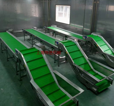 網(wǎng)帶輸送機(jī)，山核桃爬坡網(wǎng)帶提升機(jī)