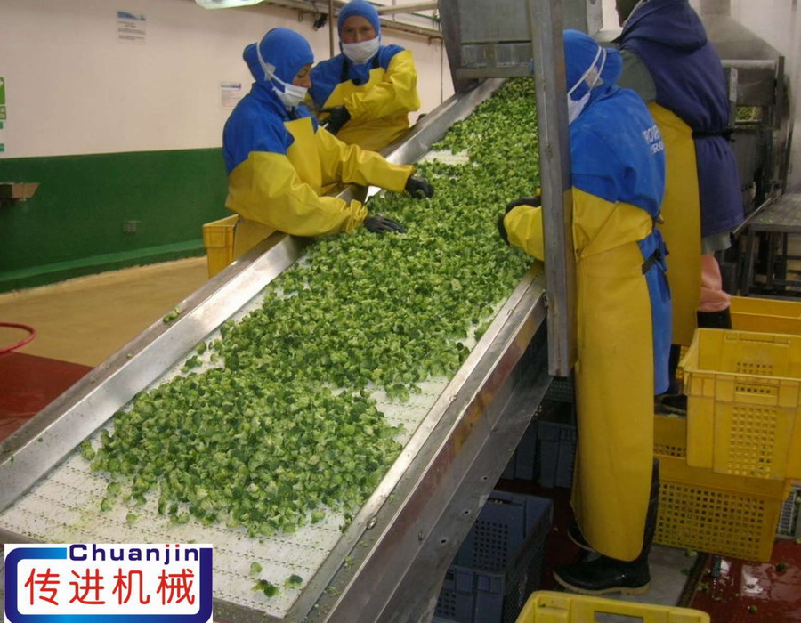 爬坡鏈網(wǎng)輸送機、模塊式鏈網(wǎng)輸送機、食